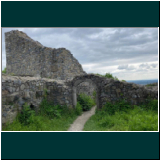 P1000742WhatsApp Image 2024-06-10 at 17.32.15.jpg